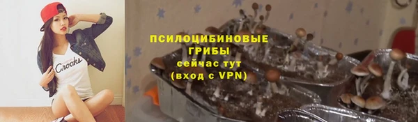 ПСИЛОЦИБИНОВЫЕ ГРИБЫ Баксан