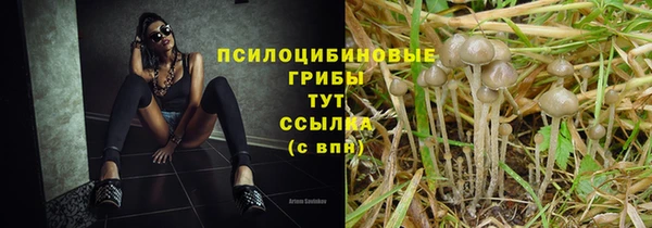 ешки Белоозёрский