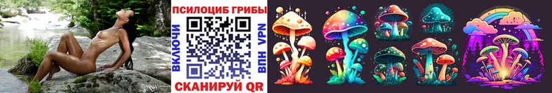 блэк спрут вход  Кунгур  Галлюциногенные грибы Cubensis 